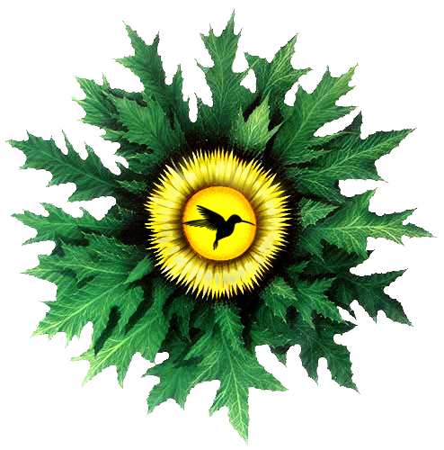 Logo Eguzkilore