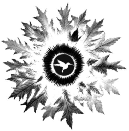 Eguzkilore logo